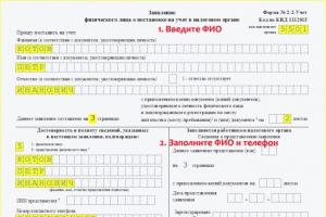 Application for obtaining a TIN for an individual: form, sample of a new form